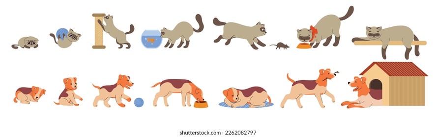 Pets growth stages set. Cute fluffy cat and dog at different ages. Kitten and puppy play, sleep, eat and rest. Cute animals stickers. Cartoon flat vector collection isolated on white background - Shutterstock ID 2262082797