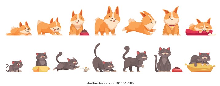 Huisdieren groeistadia set van geïsoleerde pictogrammen stripfiguren van kat en hond op verschillende leeftijd vectorillustratie
