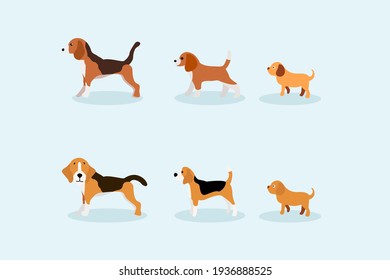 Pets growth vector concept: Set of dogs growth
