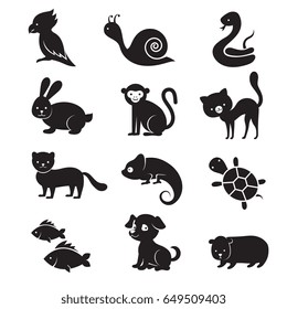 Pets and home animals vector icons
