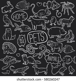 Pets House Doodle Art