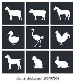 Pets icon set