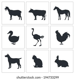 Pets icon set