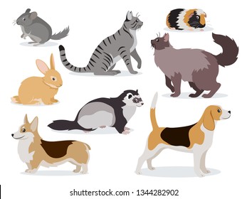 Pets icon set, cute gray chinchilla, fluffy ferret, smooth coated and domestic long-haired cats, corgi, beagle, dogs, rabbit, guinea pig isolated, vector illustration in flat style svg