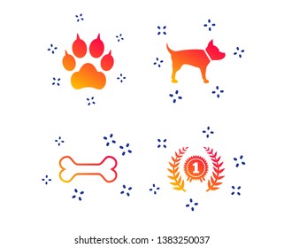 Pets icons. Cat paw with clutches sign. Winner laurel wreath and medal symbol. Pets food. Random dynamic shapes. Gradient pets icon. Vector