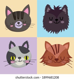 pets icons set cats feline mascot animal, faces on blocks color design vector illustration