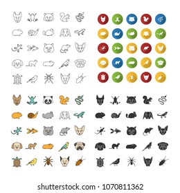 Pets icons set. Exotic animals. Rodents, birds, reptiles, insects, dogs, cats. Linear, flat design, color and glyph styles. isolated vector illustrations