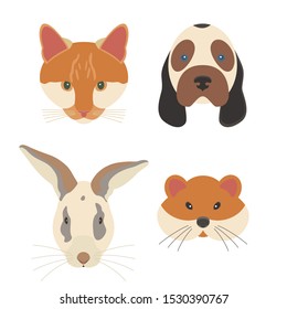 The pets are isolated on white background, set of the domestic animal.
