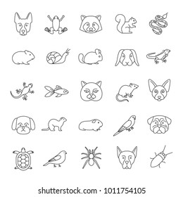 Pets linear icons set. Exotic animals. Rodents, birds, reptiles, insects, dogs, cats. Thin line contour symbols. Isolated vector outline illustrations. Editable stroke