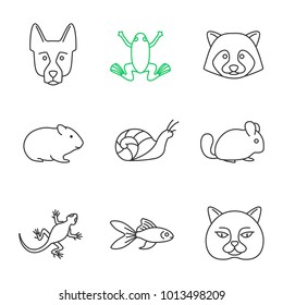 Pets linear icons set. German Shepherd, frog, raccoon, hamster, snail, chinchilla, frog, lizard, goldfish, British cat. Thin line contour symbols. Isolated vector outline illustrations