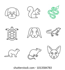 Pets linear icons set. Maltese dog, squirrel, python, tortoise, rabbit, iguana, ferret, mouse, Canadian Sphynx. Thin line contour symbols. Isolated vector outline illustrations