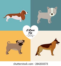 Pets Love design over colored background, vector illustration