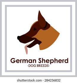 Pets Love design over white background, vector illustration