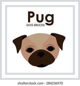 Pets Love design over white background, vector illustration