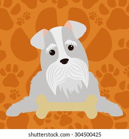 Pet's love digital design, vector illustration 10 eps graphic