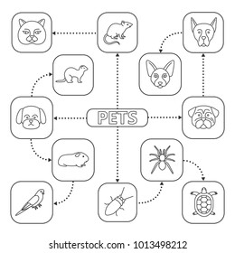 Pets mind map with linear icons. Domestic animals concept scheme. British cat, Canadian Sphynx, German Shepherd, pug, ferret, spider, tortoise, cockroach, parrot, cavy. Isolated vector illustration