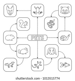 Pets mind map with linear icons. Domestic animals concept scheme. Lizard, goldfish, iguana, chinchilla, frog, raccoon, snake, snail, dwarf rabbit, German Shepherd, cavy. Isolated vector illustration