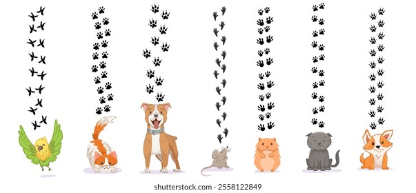 Pets paw print silhouette set. Different animals: cat, dog, parrot, rat or mouse and hamster footprint vector illustration. Domestic Animal tracks isolated on white background.