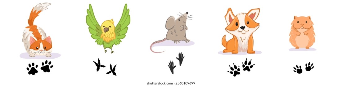 Pets paw print silhouette set. Different animals: cat, dog, parrot, rat or mouse and hamster footprint vector illustration. Domestic Animal tracks isolated on white background.