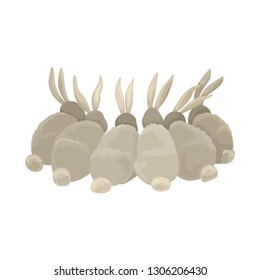 Pets rabbits sit back, agree or secret. Vector illustration of animals.