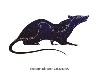 Pets rodent. Vector line rat animal illustration, night sky color silhouette isolated on white background.