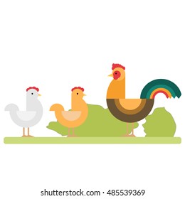 Pets, rooster, chicken, chicken illustration. Flat design. Vector.