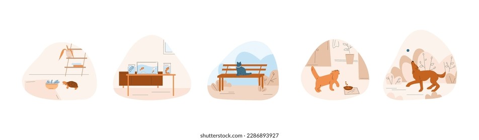 Pets scenes, cute dog walking and playing. Turtle and cat eating, cute kitten sitting on bench in park. Vector adorable animals in location