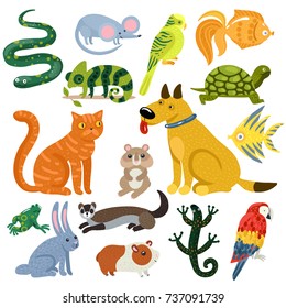 Pets set of colorful icons with cat and dog, fishes, rodents, parrots and reptiles isolated vector illustration 