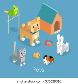 Pets set icon isometric 3d design. Pet and dog, dog and cat, animal cat, group of pets, puppy animal, kitten character, nature domestic pets, fauna hamster parrot and rabbit, guinea pig illustration