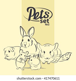 Pets set. Vector image pets. Vector illustration of rodents. Rabbit, chinchilla, hamster, mouse, cavy.