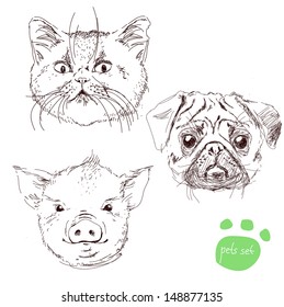  Pets set in vector. Sketch illustration of cat, pig and dog on white background