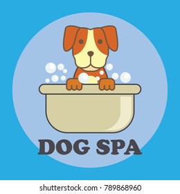 pets shop, care, pets lover service with text space for your slogan, tagline, vector illustration
