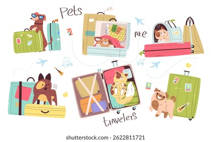 Pets travel luggage. Funny cat cute dog in pet carrier with bag for journey road trip, summer vacation stickers tourist owner pets kitten puppy animal, classy vector illustration original artwork