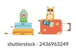 Pets travel set. Trip with cats and dogs. Transportation box and backpack carrier, passport with tickets and domestic animals. Vector illustration.
