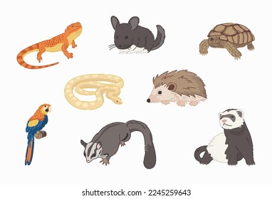 Pets vector in flat design