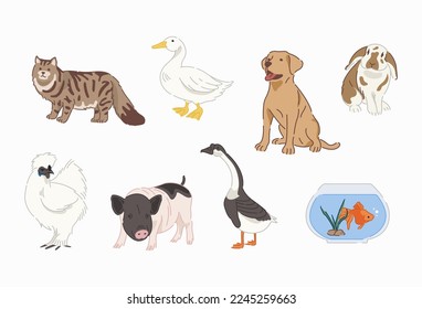 Pets vector in flat design