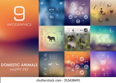 pets vector infographics with unfocused blurred background