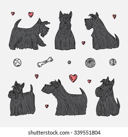 Pets. Vector Set of Dogs. Hand Drawn Doodles Scottish Terriers. 