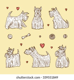 Pets. Vector Set of Dogs. Hand Drawn Doodles Scottish Terriers. 