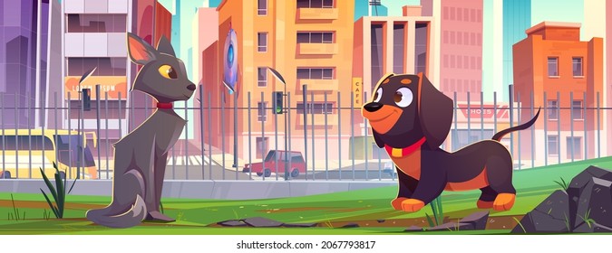 Pets walk in city park. Cute cat and dog meet together on green lawn. Vector cartoon illustration of adorable home animals on backyard with green grass and fence and town street with houses and cars