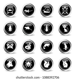 pets web icons - black round chrome buttons