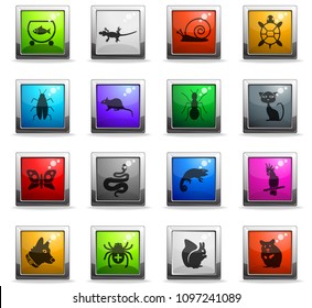 pets web icons in square colored buttons for user interface design