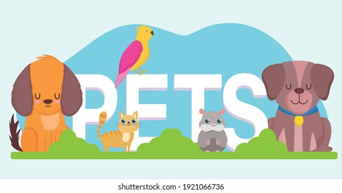 pets word, cute dog cat hamster and parrot animals vector illustration