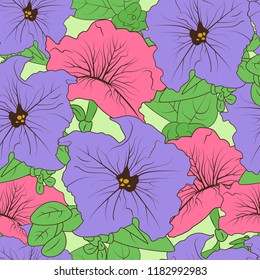 Petunia. Flower. Background, wallpaper, texture, seamless. Sketch.