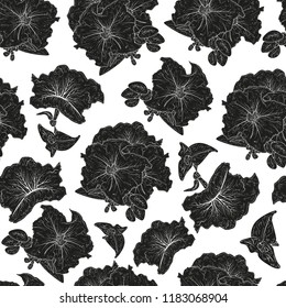 Petunia. Flower. Black silhouette on white background. Texture, wallpaper, seamless.