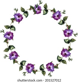 petunia, flower, frame