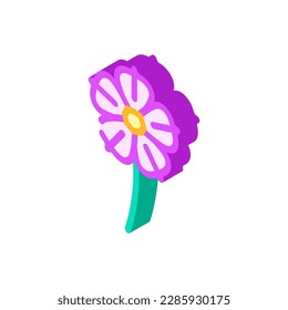 Petunia Blume Frühling isometrische Symbol Vektorgrafik. Petunia Blume Frühlingszeichen. einzelne Symbolillustration