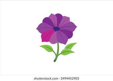 Petunia flower vector artwork illustration