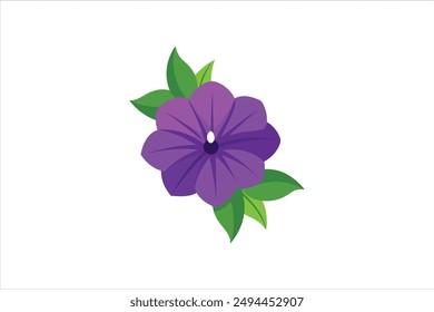 Petunia flower vector artwork illustration