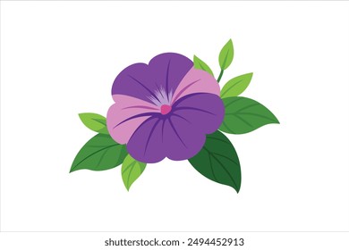 Petunia flower vector artwork illustration